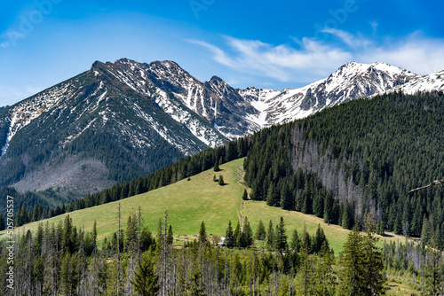 Obraz na płótnie tatry-rusinowa-polana-wiosna w salonie
