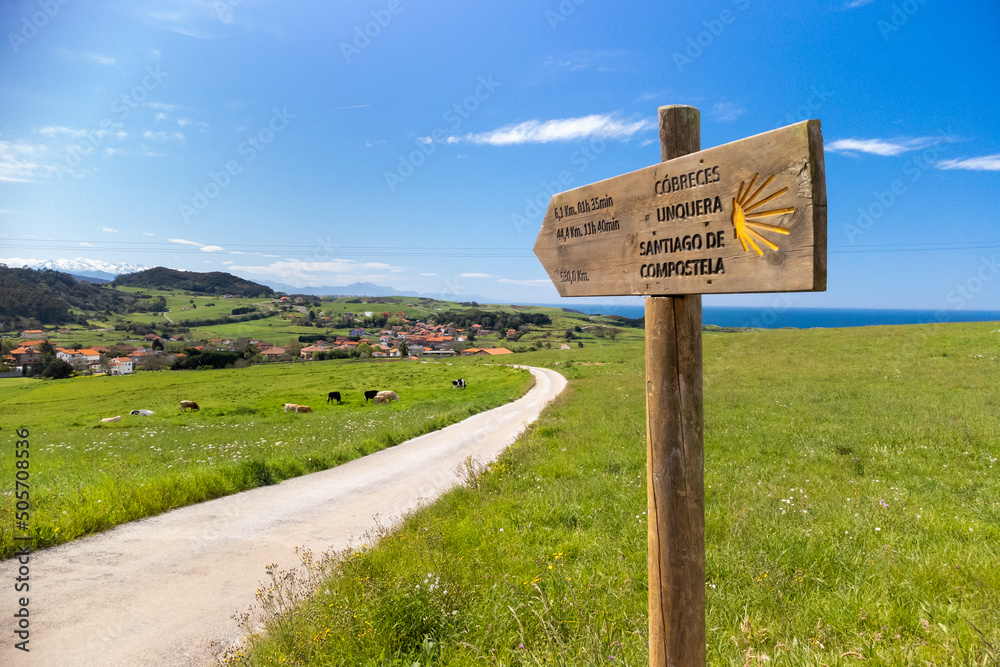 Ταπετσαρία Wooden milestone indicating  route of the Camino de Santiago.