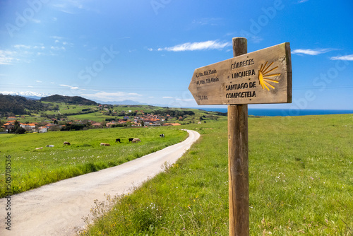Slika na platnu Wooden milestone indicating  route of the Camino de Santiago.
