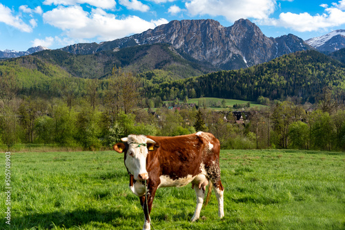 Obraz na płótnie giewont-tatry-polska-wiosna w salonie