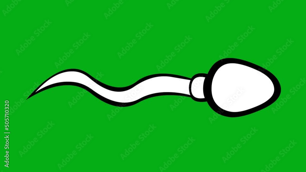 Loop animation of a spermatozoon moving, drawn in black and white. On a green chroma key background