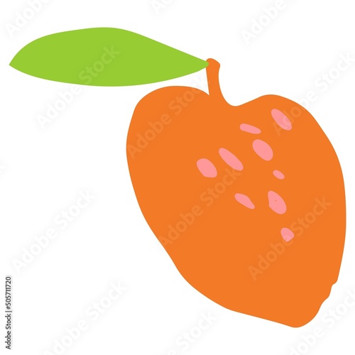 Mango with leaf hand drawn illustration in organic style