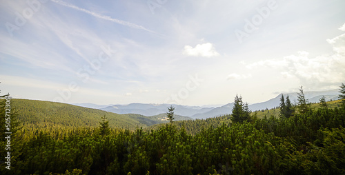 Mountain landscape in Ukrainian Carpathians in summer