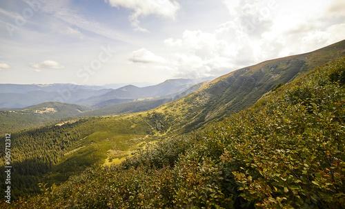 Mountain landscape in Ukrainian Carpathians in summer © bondvit