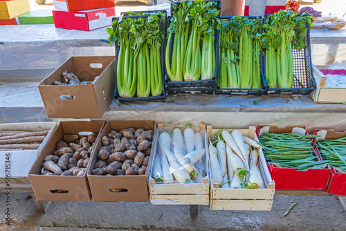 Daikon Cellery Vegetables photo