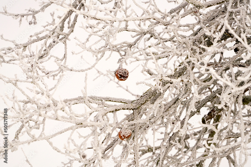 Symbolfoto Winter