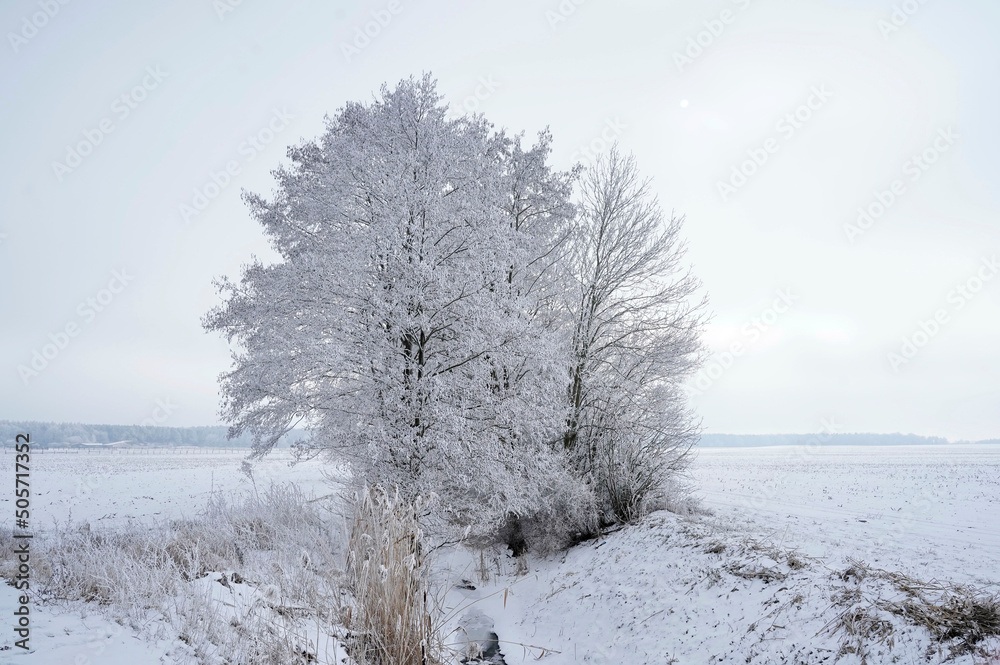 Symbolfoto Winter