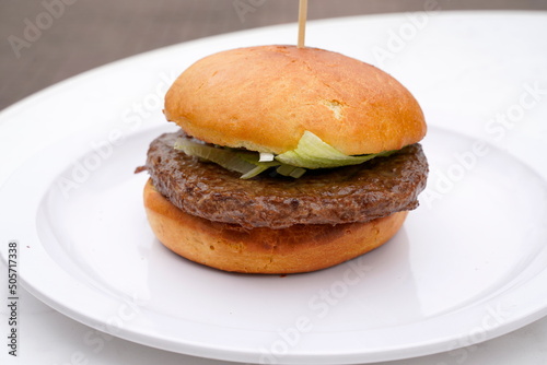 Obraz na płótnie Hamburger w salonie