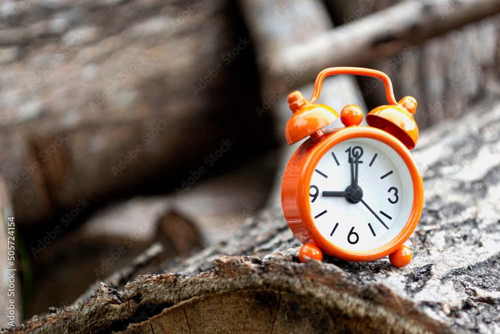 Orange alarm clock isolated on tree trunk. The clock set at 9 o
