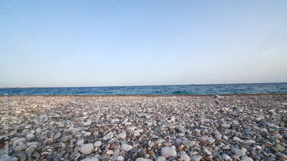 Black birds on Pebble Mediterranean Beach at sunset Antalya Turkey Black birds on Pebble Mediterranean Beach at sunset Antalya Turkey