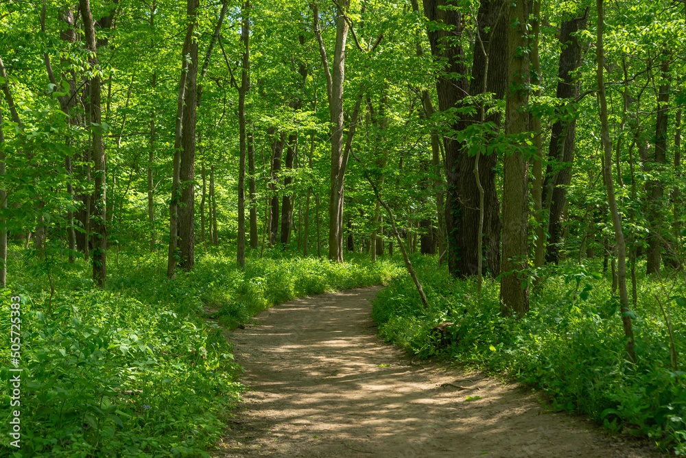 Hiking trail. Hiking trail.