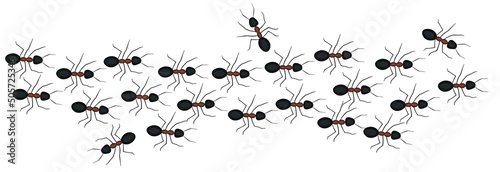 Foto Ant trail in cartoon style. Vector insect path