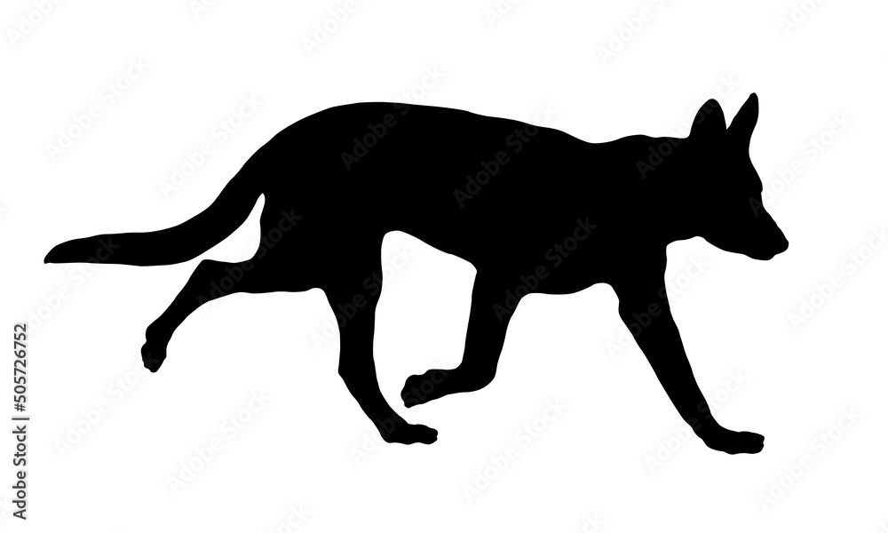 Running german shepherd dog puppy. Black dog silhouette. Pet animals. Isolated on a white background.