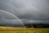 A vivid rainbow glows through spring rain against dark clouds in this scene of an Oregon vineyard.