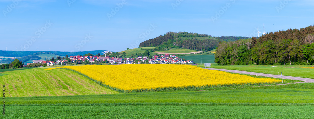 Φωτογραφία A large oilseed rape field in front of the idyllic village of Blumberg in the Bl