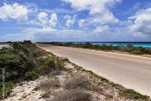 Fototapeta Naklejka Na Ścianę i Meble -  Bonaire 16