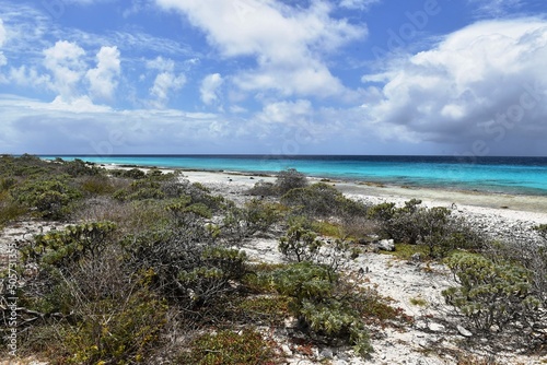 Bonaire 15