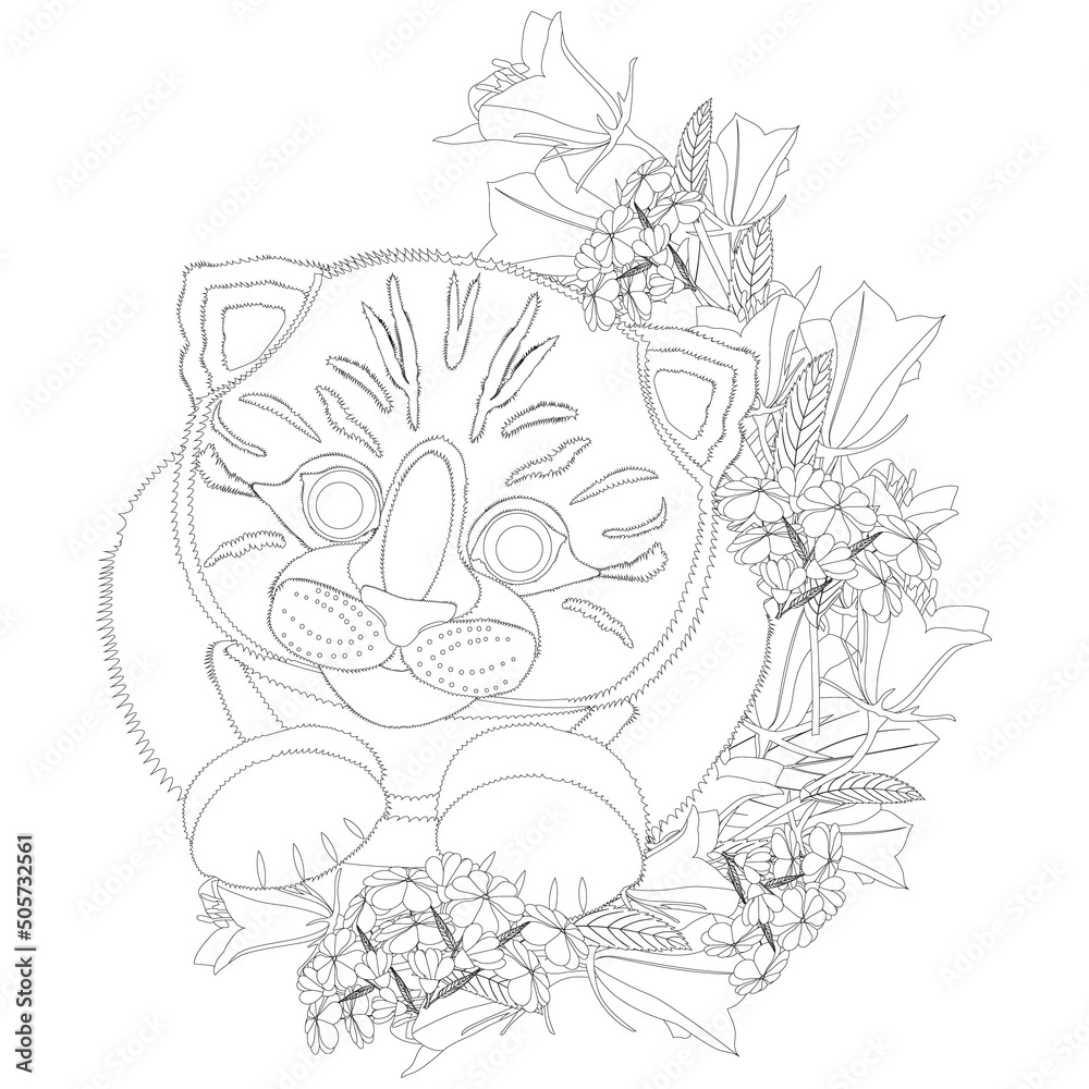Сoloring page with cartoon cute sweet kitten with flowers composition. Vector illustration Сoloring page with cartoon cute sweet kitten with flowers composition. Vector illustration