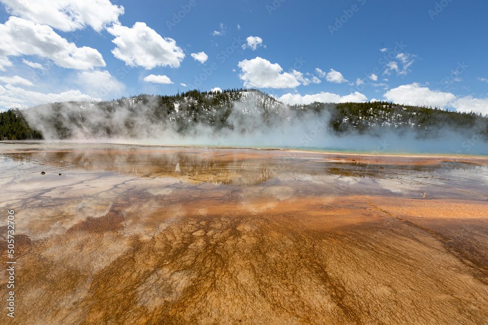 Nature and wildlife in Yellowstone Spring 2022