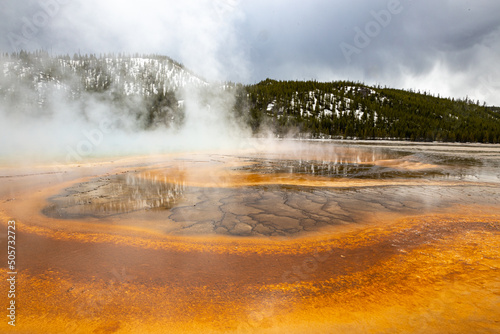 Nature and wildlife in Yellowstone Spring 2022