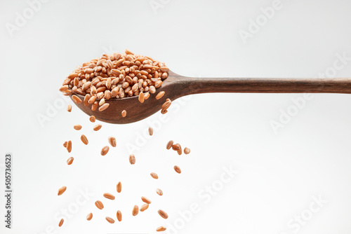 Falling wheat grains from a white wooden spoon into a pile on a white background. Selective focus	