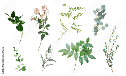 Mix of spring herbs and flowers vector collection. Cute rustic wedding greenery