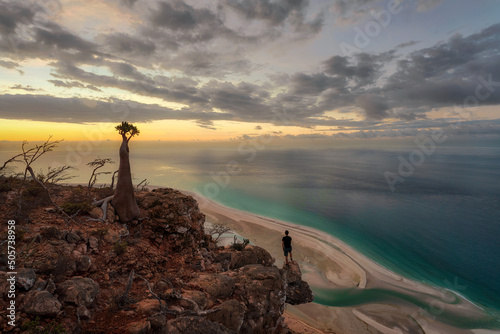 Bottle Tree on a Mountain Site in Socotra, Yemen, taken in November 2021 photo