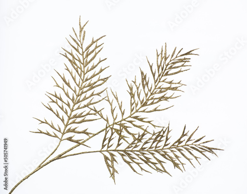 decorative golden branch with golden leaves isolated on white background