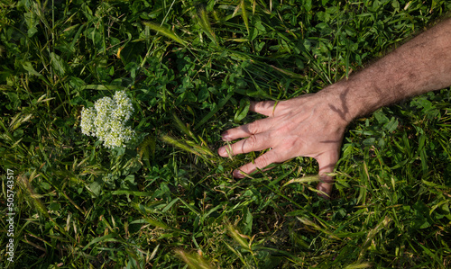 Top view of human hand touching grass