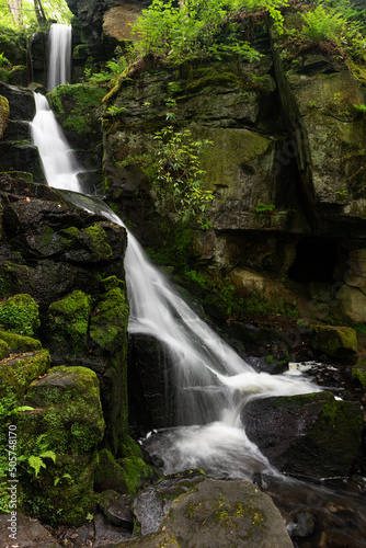 waterfall in the forest