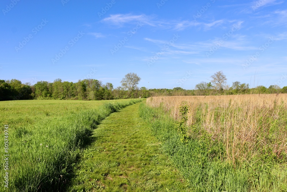 The long empty grass trail in the countryside field.