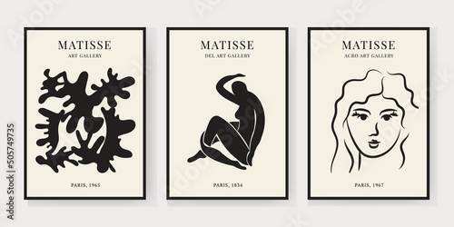 Abstract Matisse Art Set, Aesthetic Modern Art, Minimalist Art, Illustration, Vector, Poster, Postcard. A set of abstract fashion creative art photo