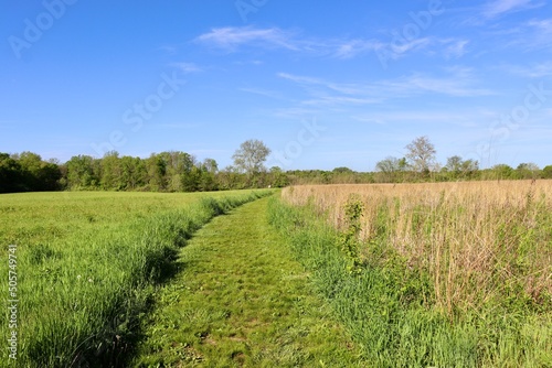 The long empty grass trail in the countryside field.