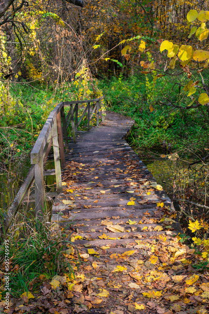 Fallen autumn leaves on a wooden bridge in the forest. Old wooden footbridge across a stream in the autumn forest.