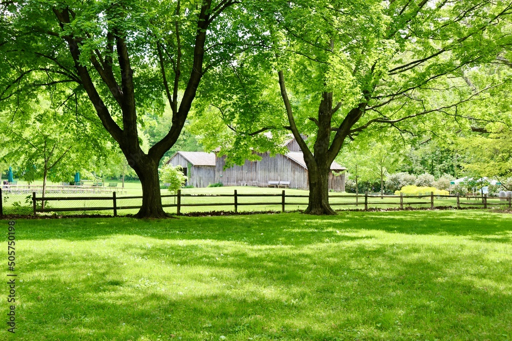 The old wood barn under the spring trees in the country. The old wood barn under the spring trees in the country.
