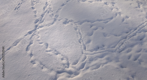 Snow covered surface with lots of shoe prints. Top view of human boots trail on snow ground in winter. Several human foot prints in shoes on white snow. Cold weather in park in holiday.