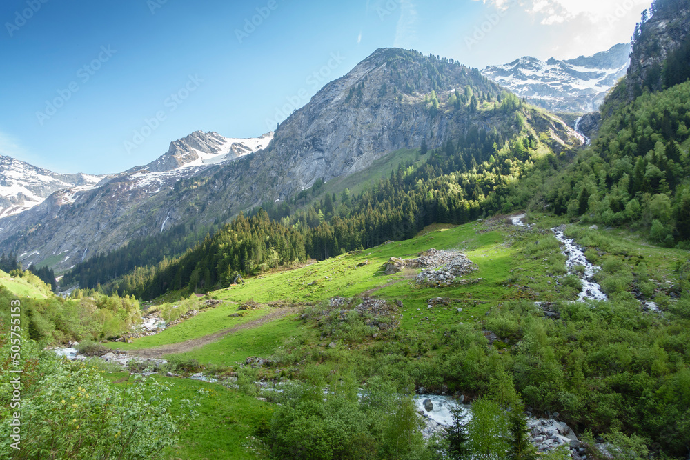 Berglandschaft in grüner Natur mit Gebirgsbach