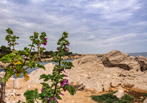 schöne Felsenküste Cala Rajada photo