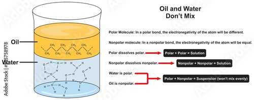 Why oil and water dont mix infographic diagram for chemistry science education atom polar nonpolar bond electronegativity solution suspension hydrophobic effect vector chart illustration scheme photo