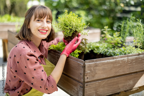 Portrait of a young gardener planting spicy herbs at home vegetable garden outdoors. Concept of homegrowing organic local food photo