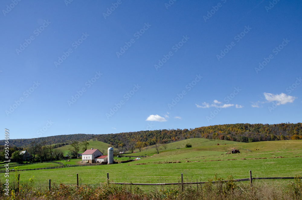 Fototapeta premium Farm with Green Grass and Blue Sky