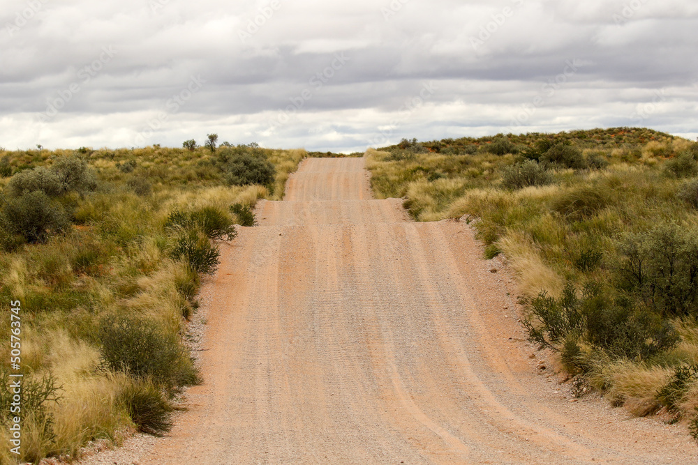 Open dirt road in the Kgalagadi, South Africa