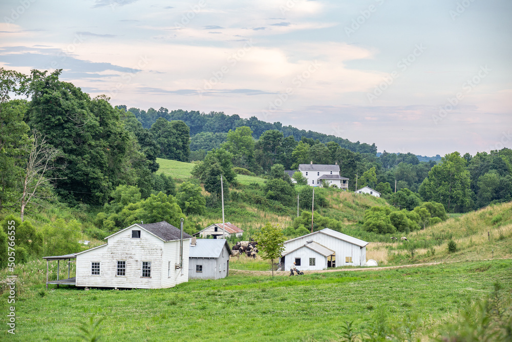 Homestead among trees in a green valley in Amish country, Ohio