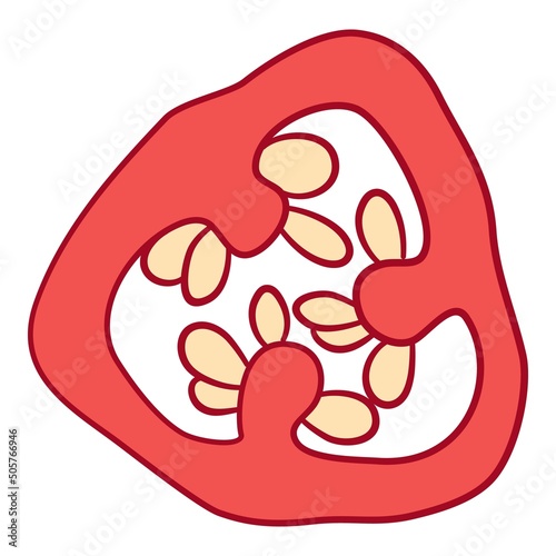 Pepper slice icon outline, hand drawn vector. Vegetable chili