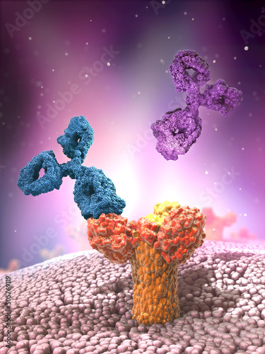 Multicolored antibodies or immunoglobulin protein structures attached to receptor- 3d illustration photo