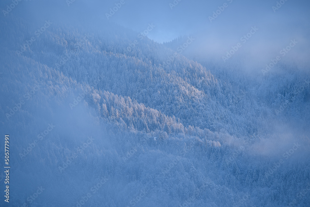 Winter morning in the forest and mountains