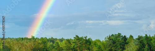 Green treetops and beautiful rainbow on blue sky.