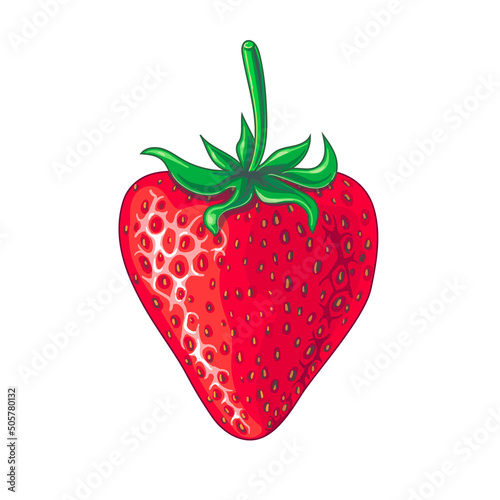 Ripe red strawberry drawn in cartoon style. Vector drawing isolated on white background.