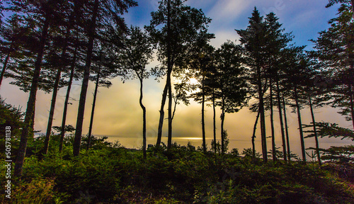 Warm Sunrise on Gouldsboro Bay, Maine photo