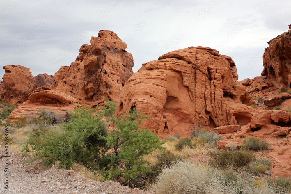 Fototapeta premium Valley of fire (Nationalpark in Nevada/USA)